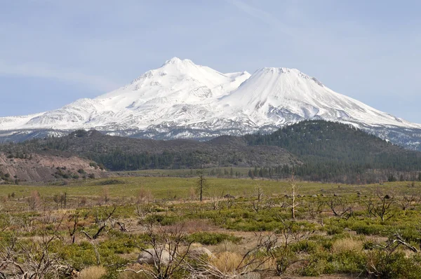 Mt. Shasta — Stock Photo, Image