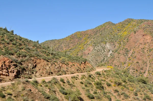 stock image Apache Trail