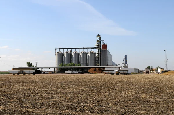 Grain lagring — Stockfoto