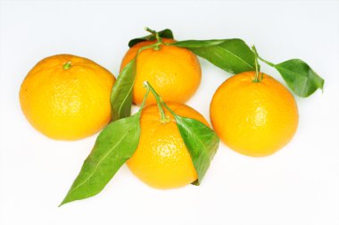 Satsumas