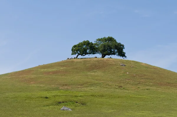Dos colinas de árboles — Foto de Stock