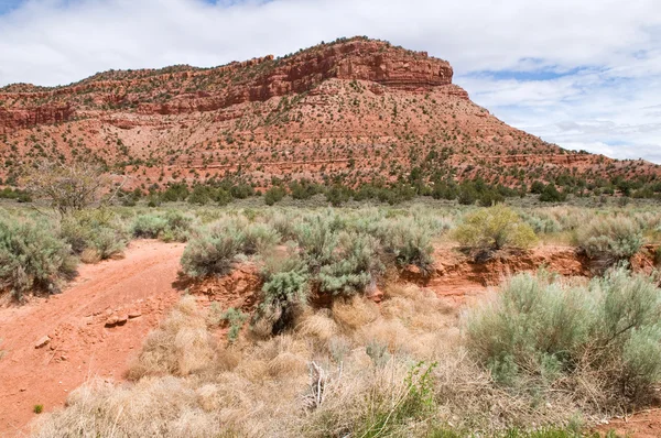 Red rock — Stock Photo, Image