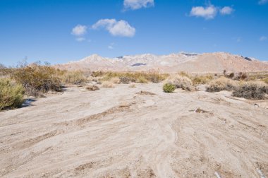 Hills and field dusted with snow, Mojave National Preserve, California clipart