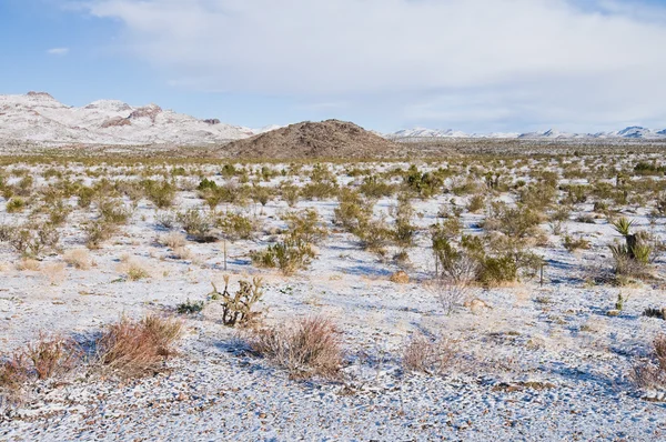 Λόφους Και Πεδίο Ξεσκονίζονται Χιόνι Mojave Στην Εθνική Δικαιοδοσία Καλιφόρνια — Stock fotografie