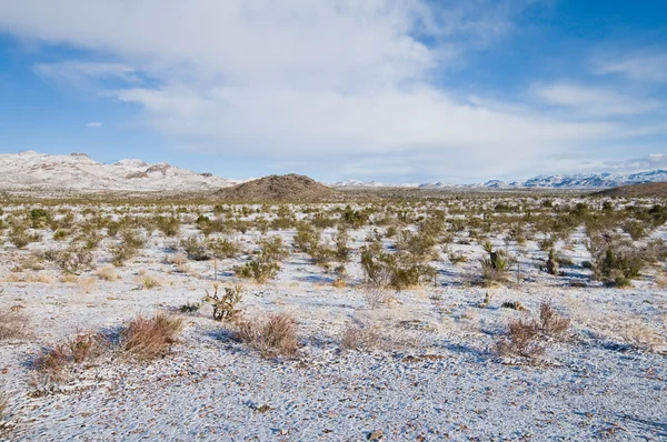 Hóval Borított Területen Hills Golden Valley Arizona — Stock Fotó