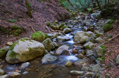 basamaklı su, uvas Kanyon eyalet parkı, morgan hill, Kaliforniya