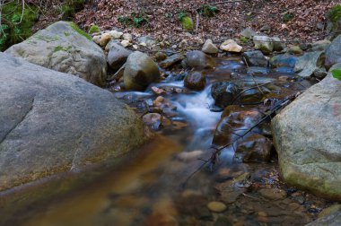 basamaklı su, uvas Kanyon eyalet parkı, morgan hill, Kaliforniya