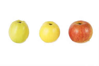 üç renk elma