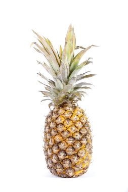 Ananas Meyve