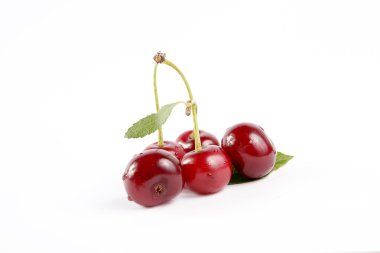 Soure cherries with leaf 3 clipart