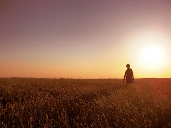 stock image Field