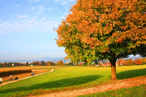 Stock image Autumn