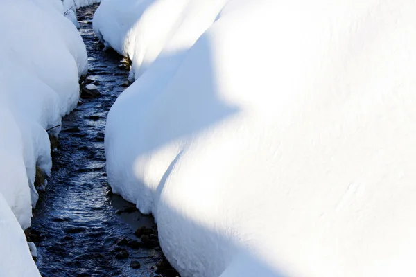 stock image Winter