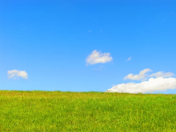 Verão — Fotografia de Stock