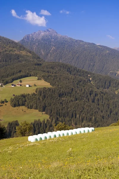 Vallée de montagne dans les Alpes autrichiennes en été — Photo