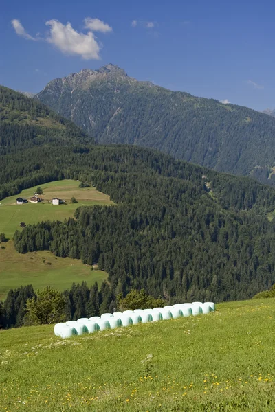 Vale da montanha em alpes austríacos no verão — Fotografia de Stock