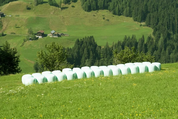 Горная долина в австрийских Альпах летом — стоковое фото