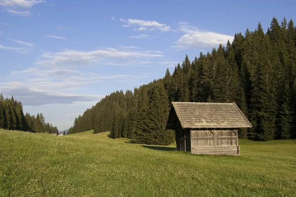 Dolina góra w austriackich Alpach w lecie — Zdjęcie stockowe