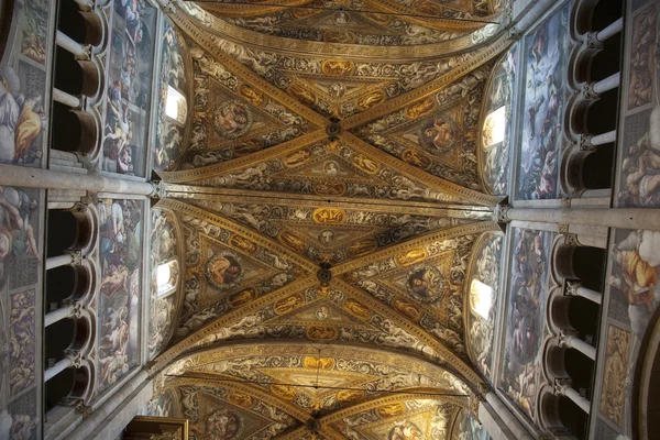 天花板罗马式大教堂在帕尔马 — 图库照片