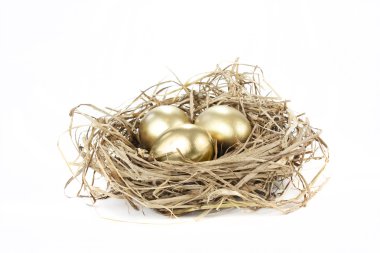 Golden nest egg clipart