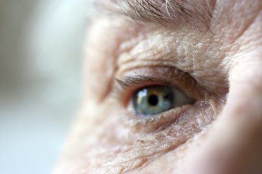 Close up on elderly ladies eye and wrink clipart