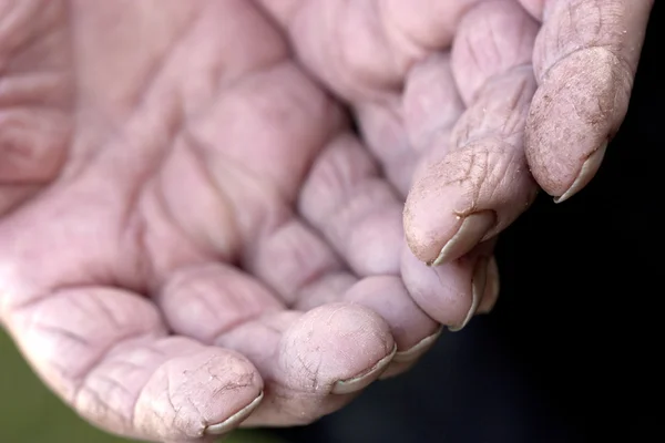Old worn out hands in the garden — Stock Photo, Image