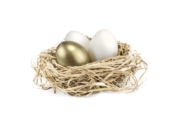 Huevo de nido dorado —  Fotos de Stock