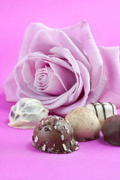 Różowa róża i czekoladowe trufle — Zdjęcie stockowe