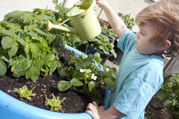 Liten pojke vattna sin trädgård — Stockfoto