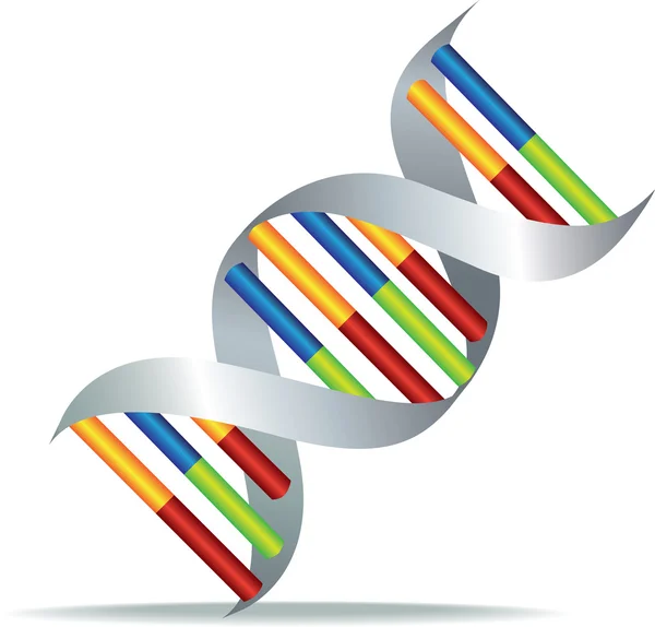 Клетки ДНК человека — стоковый вектор