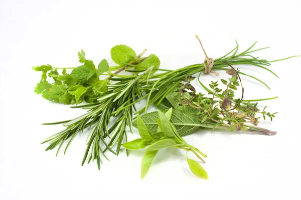 Mixed fresh herbs — Stock Photo, Image