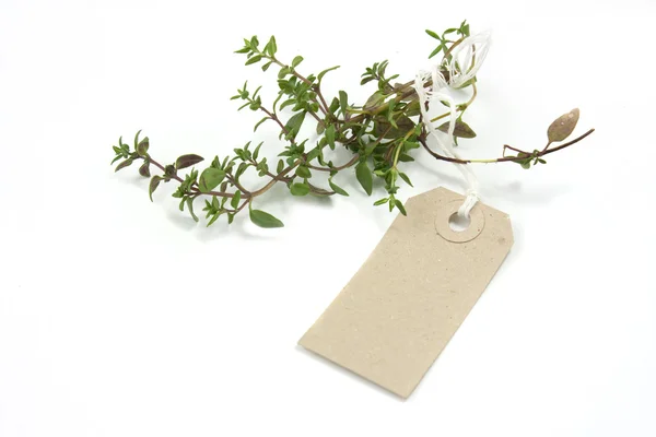 Herb Thyme and label tag — Stock Photo, Image