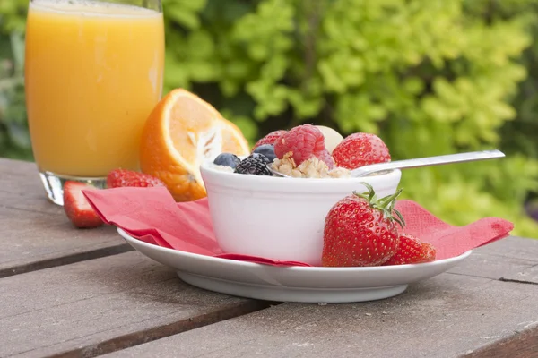 Frühstück im Garten — Stockfoto