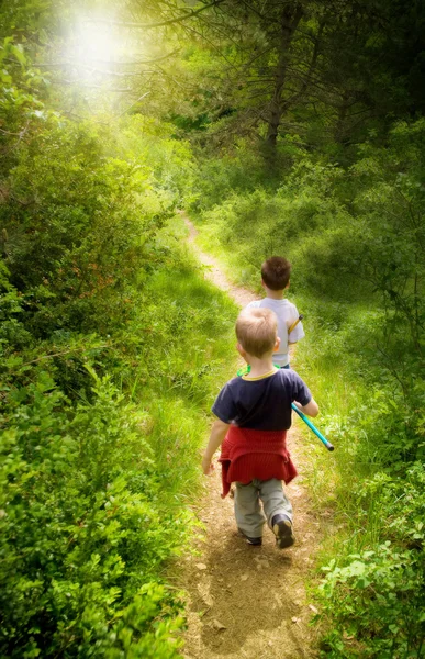 Маленькие дети, гуляющие в лесу — стоковое фото