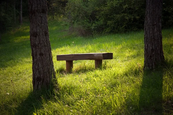 Bench in a forest — Stock Photo, Image