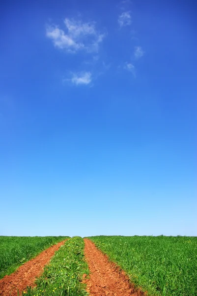 Yeşil alan yol. — Stok fotoğraf