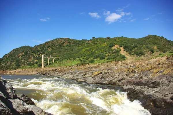 Kurdun guadiana nehir atlama — Stok fotoğraf