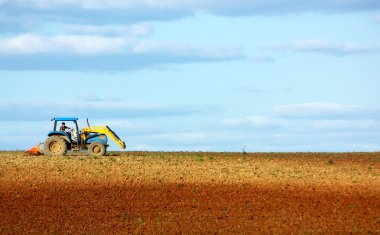Tractor in portuguese field. clipart