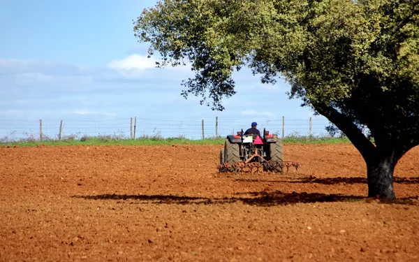 Portekizli alanındaki traktör. — Stok fotoğraf