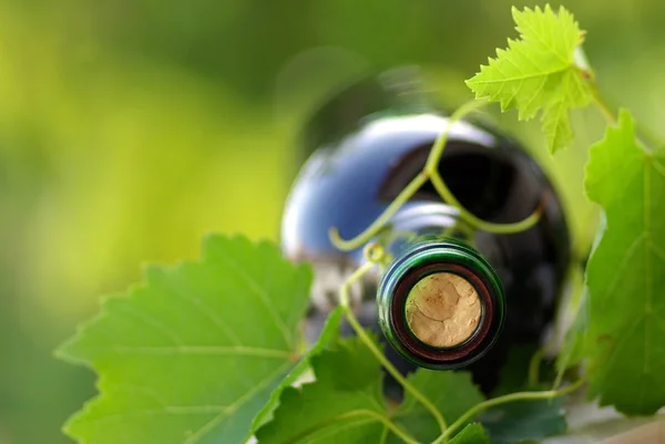 Bottle of wine. — Stock Photo, Image