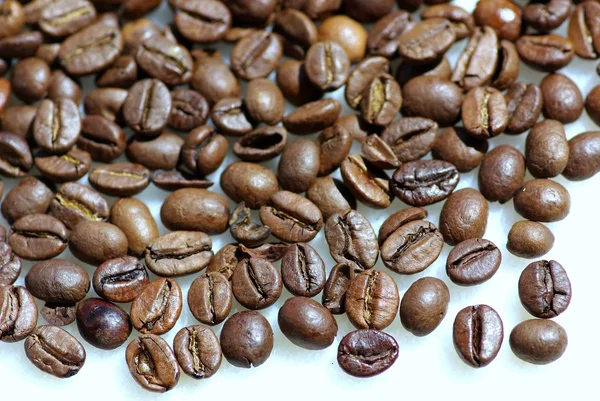 Grains de café . — Photo