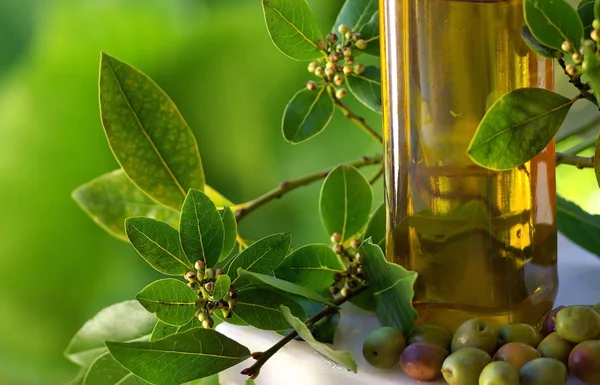 Бутылка оливкового масла и оливок . — стоковое фото