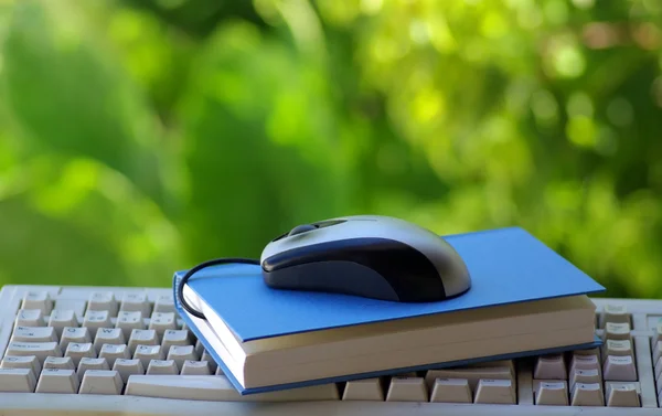 Ratón con libro y teclado — Foto de Stock