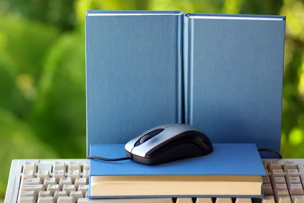 Mouse with book and keyboard — Stock Photo, Image