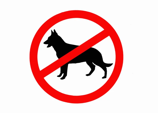Aucun chien autorisé signe isolé — Photo