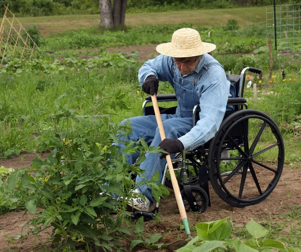 Инвалидный фермер — стоковое фото
