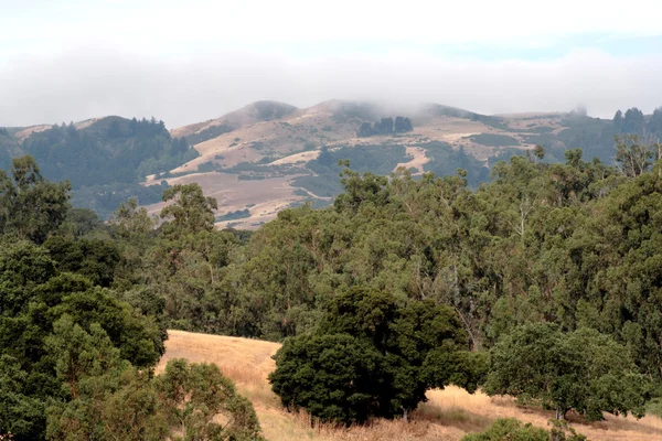 Niebla de estribaciones — Foto de Stock