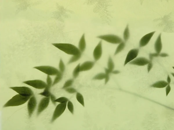 Yaprak ve fern kağıt — Stok fotoğraf