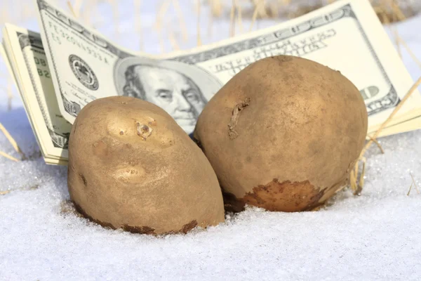 stock image Cold cash and potato