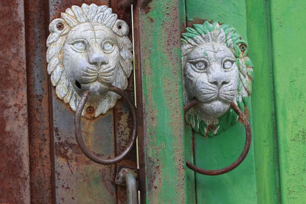 stock image Antique lion head door knob